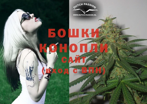 шишки Осинники