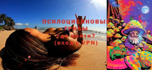 шишки Осинники